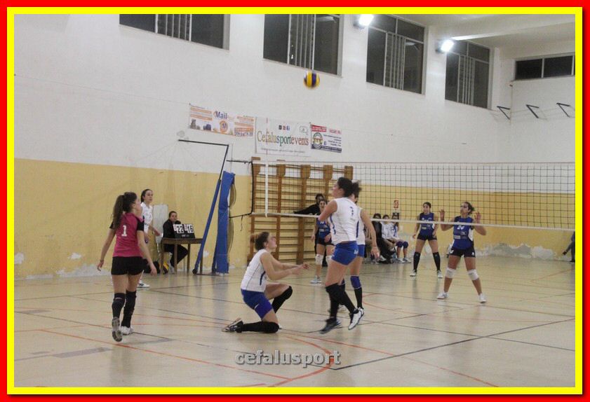 140305 Primula 119_tn.jpg